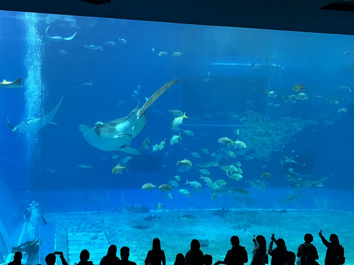 沖縄本島 3日間